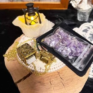 Vintage art card locket with dried herbs and natural crystals